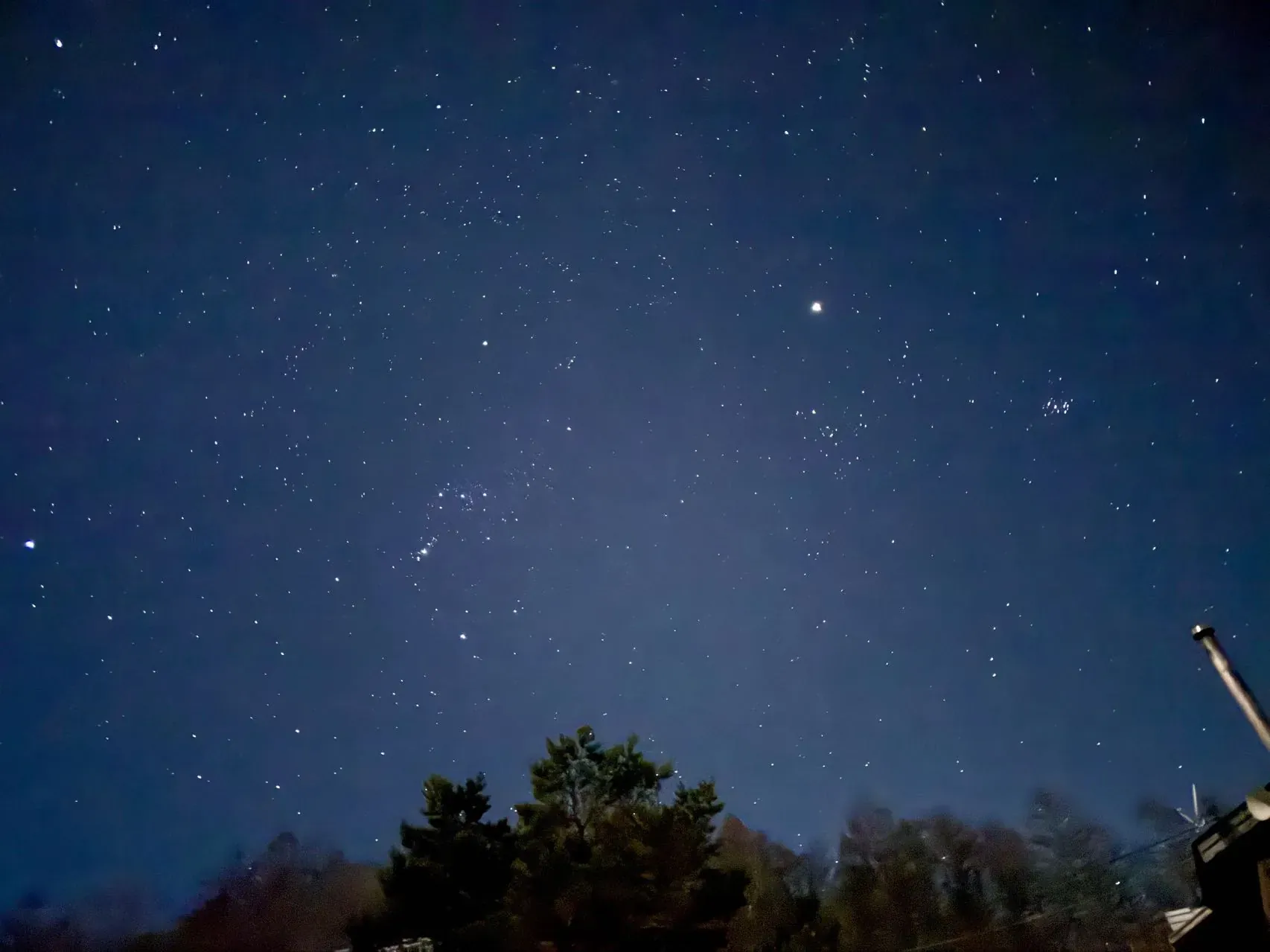 冬の夜空。中央左にオリオン座、右上にプレアデス星団とひときわ明るい星、下は木立